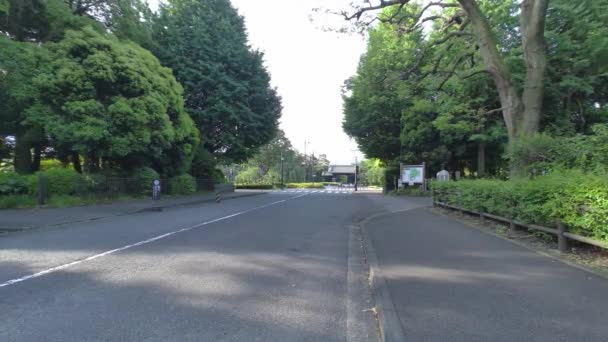 Τόκιο Kitanomaru Park Νωρίς Πρωί 2022 — Αρχείο Βίντεο