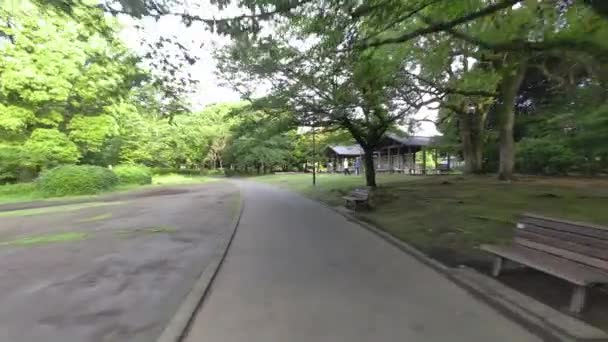 Tokyo Kitanomaru Park Tidig Morgon 2022 — Stockvideo