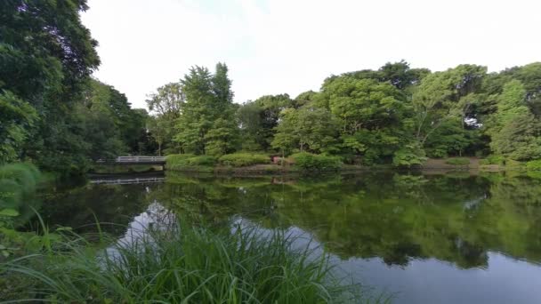Tokyo Kitanomaru Park Wczesnym Rankiem 2022 — Wideo stockowe