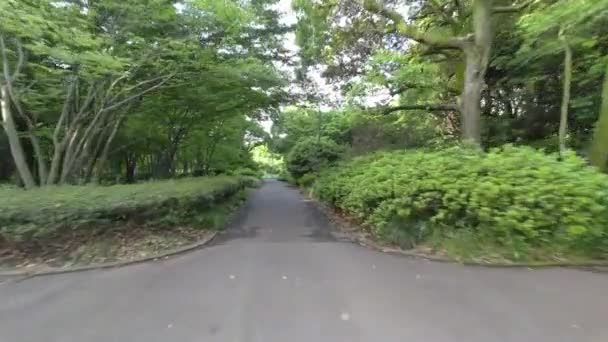 東京北の丸公園2022年早朝 — ストック動画