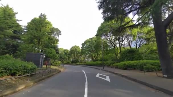 Tokyo Kitanomaru Park Manhã Cedo 2022 — Vídeo de Stock