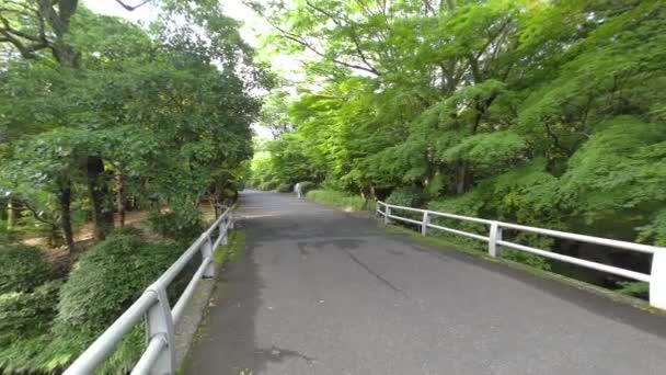 Tokyo Kitanomaru Park Tidig Morgon 2022 — Stockvideo