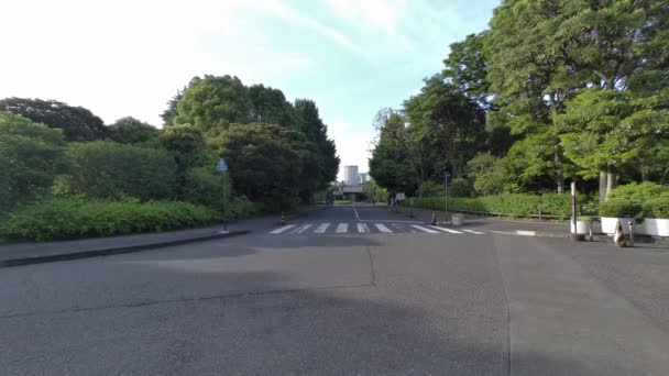 Tokyo Kitanomaru Park Vroege Ochtend 2022 — Stockvideo