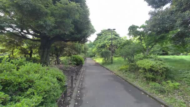 Tokyo Kitanomaru Park Temprano Mañana 2022 — Vídeos de Stock