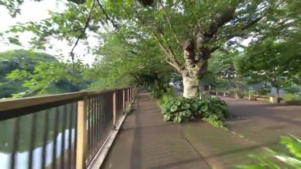 Tokyo Chidorigafuchi Tidig Morgon 2022 — Stockvideo