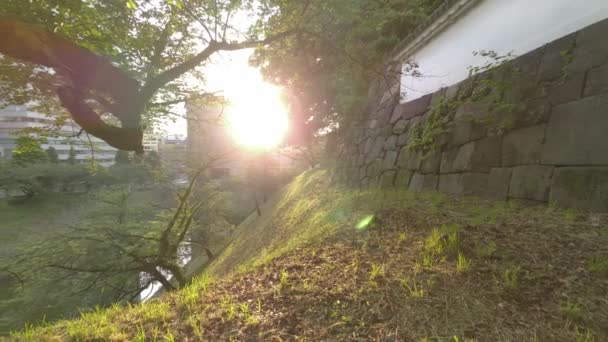 Tokyo Chidorigafuchi Early Morning 2022 — Stock Video