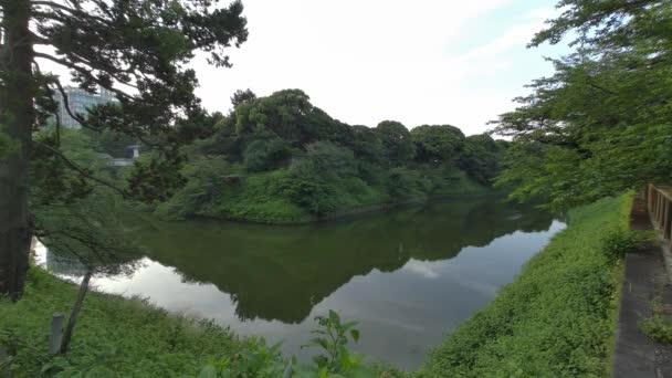 Tokyo Chidorigafuchi Tôt Matin 2022 — Video