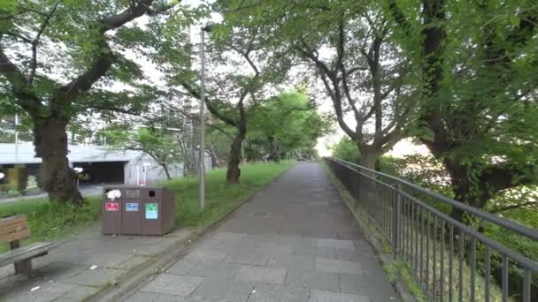 Tokyo Sotobori Park Mattina Presto 2022 — Video Stock