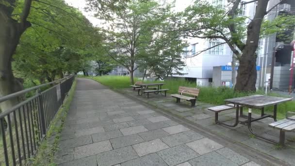 Tokyo Sotobori Park Temprano Mañana 2022 — Vídeo de stock