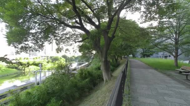 Tokios Sotobori Park Frühen Morgen 2022 — Stockvideo