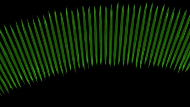 Färg Partikel Animation Rörelse Grafik — Stockvideo
