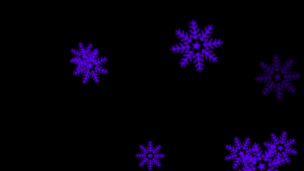 Κρύσταλλοι Χιονιού Χειμερινά Σωματίδια Κινούμενα Γραφικά Κίνησης — Αρχείο Βίντεο