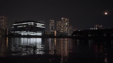 Tokyo Toyosu Gururi Park Gece Manzarası 2022 Haziran