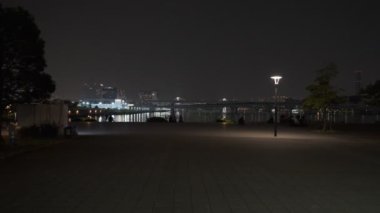 Tokyo Toyosu Gururi Park Gece Manzarası 2022 Haziran