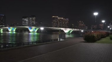 Tokyo Toyosu Gururi Park Gece Manzarası 2022 Haziran