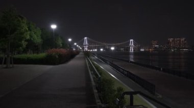 Tokyo Toyosu Gururi Park Gece Manzarası 2022 Haziran