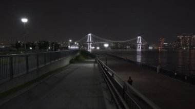 Tokyo Toyosu Gururi Park Gece Manzarası 2022 Haziran
