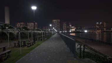 Tokyo Toyosu Gururi Park Gece Manzarası 2022 Haziran