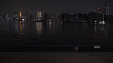 Tokyo Toyosu Gururi Park Gece Manzarası 2022 Haziran