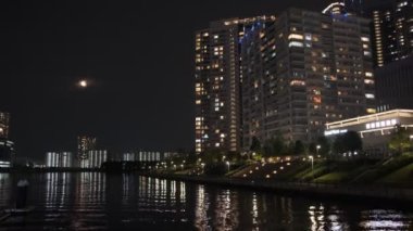 Tokyo Toyosu Gururi Park Gece Manzarası 2022 Haziran