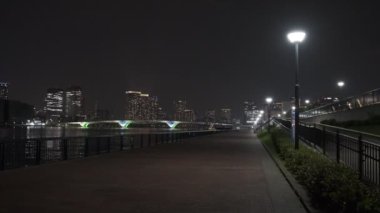 Tokyo Toyosu Gururi Park Gece Manzarası 2022 Haziran