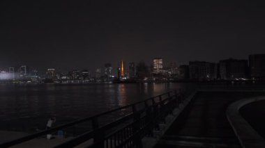 Tokyo Toyosu Gururi Park Gece Manzarası 2022 Haziran