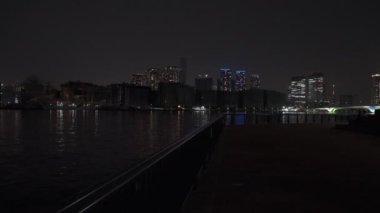 Tokyo Toyosu Gururi Park Gece Manzarası 2022 Haziran