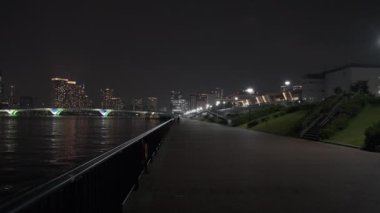 Tokyo Toyosu Gururi Park Gece Manzarası 2022 Haziran