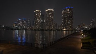 Tokyo Toyosu Gururi Park Gece Manzarası 2022 Haziran
