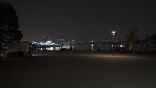 Τόκιο Toyosu Gururururi Park Night View 2022 Ιούνιος — Αρχείο Βίντεο