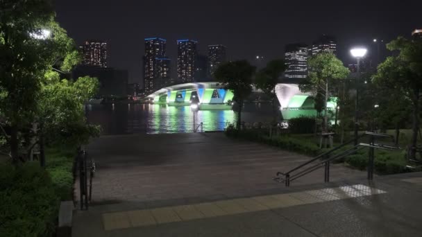 Tokyo Toyosu Gururi Park Night View 2022 Juni — Stockvideo