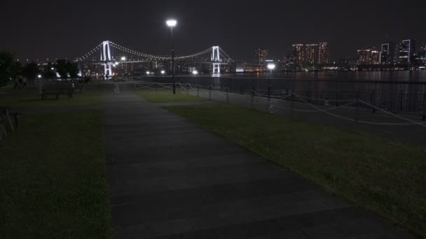Tokyo Toyosu Guri Park Night View 2022 June — стоковое видео