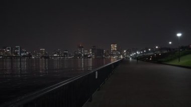 Tokyo Toyosu Gururi Park Gece Manzarası 2022 Haziran