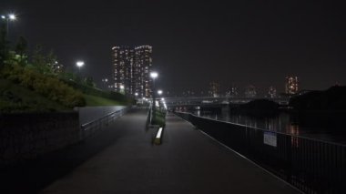 Tokyo Toyosu Gururi Park Gece Manzarası 2022 Haziran