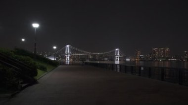 Tokyo Toyosu Gururi Park Gece Manzarası 2022 Haziran