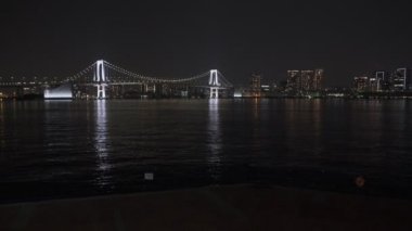 Tokyo Toyosu Gururi Park Gece Manzarası 2022 Haziran
