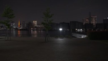 Tokyo Toyosu Gururi Park Gece Manzarası 2022 Haziran