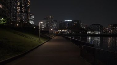 Tokyo Toyosu Gururi Park Gece Manzarası 2022 Haziran