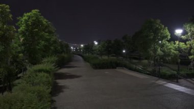 Tokyo Toyosu Gururi Park Gece Manzarası 2022 Haziran
