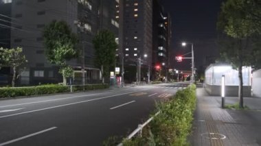 Tokyo Shinagawa Deniz Kenarı Gece Manzarası 2022
