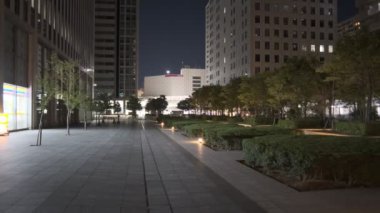 Tokyo Shinagawa Deniz Kenarı Gece Manzarası 2022