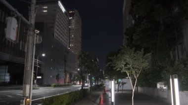 Tokyo Shinagawa Deniz Kenarı Gece Manzarası 2022