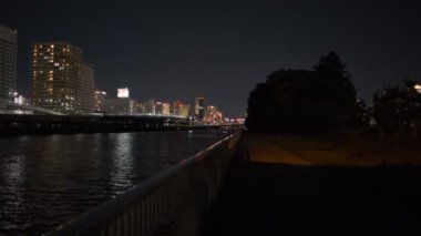 Tokyo Shinagawa Deniz Kenarı Gece Manzarası 2022