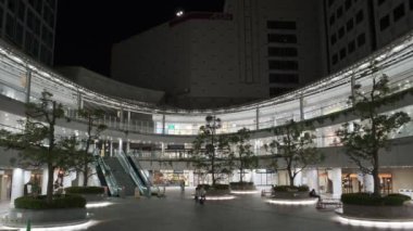 Tokyo Shinagawa Deniz Kenarı Gece Manzarası 2022