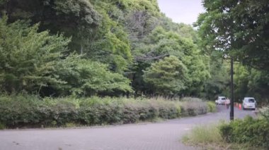 Tokyo Kiba Parkı Sinematik Video 2022 Haziran
