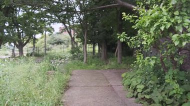 Tokyo Kiba Parkı Sinematik Video 2022 Haziran