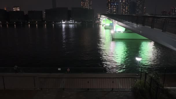 東京豊洲ぐるり公園夜景2022年6月 — ストック動画
