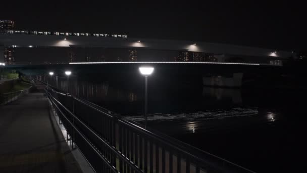 Tokyo Toyosu Gururi Park Night View 2022 Juni — Stockvideo