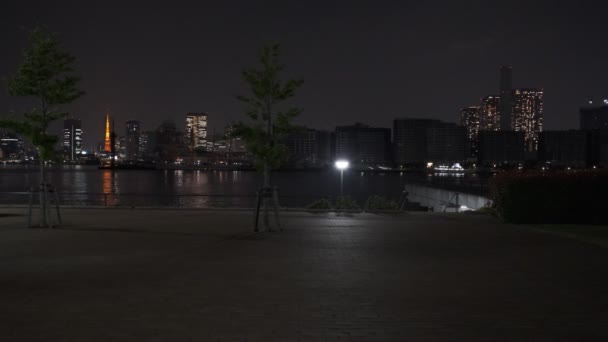 Tokyo Toyosu Gururi Park Vista Nocturna 2022 Junio — Vídeos de Stock
