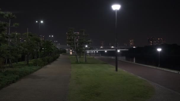 Tokyo Toyosu Gururi Park Vista Notturna 2022 Giugno — Video Stock
